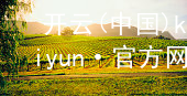开云(中国)kaiyun·官方网站开云(中国)kaiyun·官方网站网页版