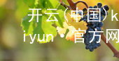 开云(中国)kaiyun·官方网站kaiyun官方网站安装
