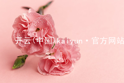 开云(中国)kaiyun·官方网站kaiyun官方网站登录