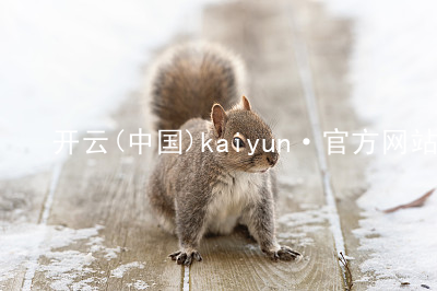 开云(中国)kaiyun·官方网站kaiyun网址