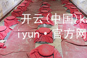 开云(中国)kaiyun·官方网站kaiyun官方网站大厅