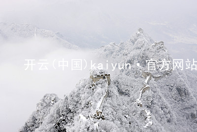 开云(中国)kaiyun·官方网站kaiyun官方网站官方网站