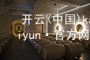开云(中国)kaiyun·官方网站开云下载