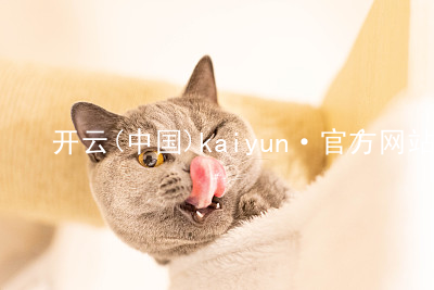 开云(中国)kaiyun·官方网站kaiyun首页