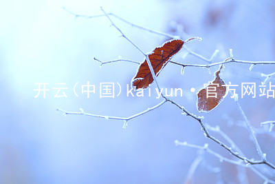开云(中国)kaiyun·官方网站开云怎么样
