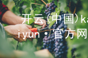 开云(中国)kaiyun·官方网站kaiyun最新地址