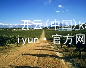 开云(中国)kaiyun·官方网站kaiyun官方网站最新地址