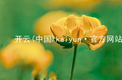 开云(中国)kaiyun·官方网站kaiyun官方网站最新