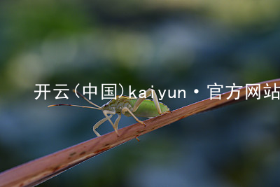 开云(中国)kaiyun·官方网站kaiyun官方网站网页版