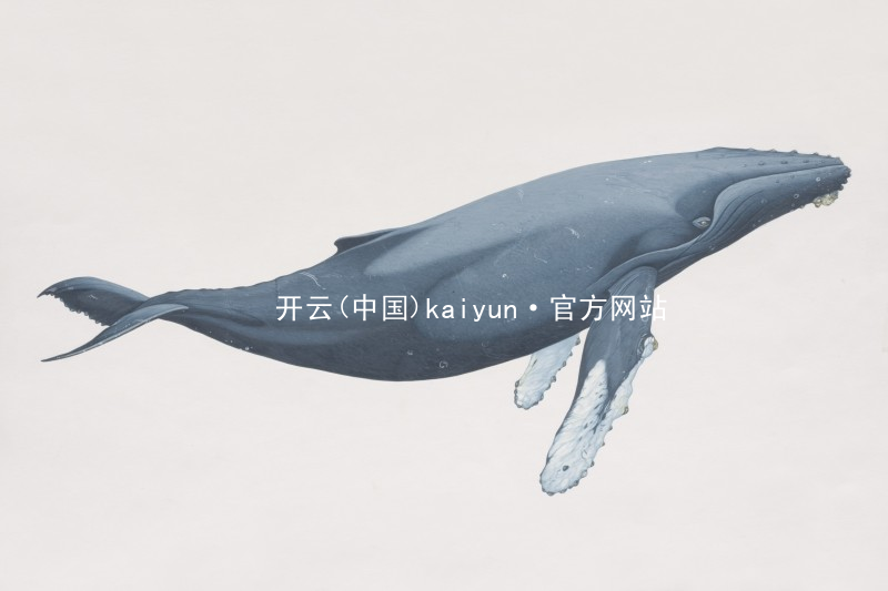 开云(中国)kaiyun·官方网站开云安装